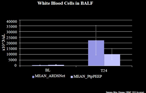 white blood cells in balf