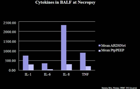 cytokines balf at necropsy